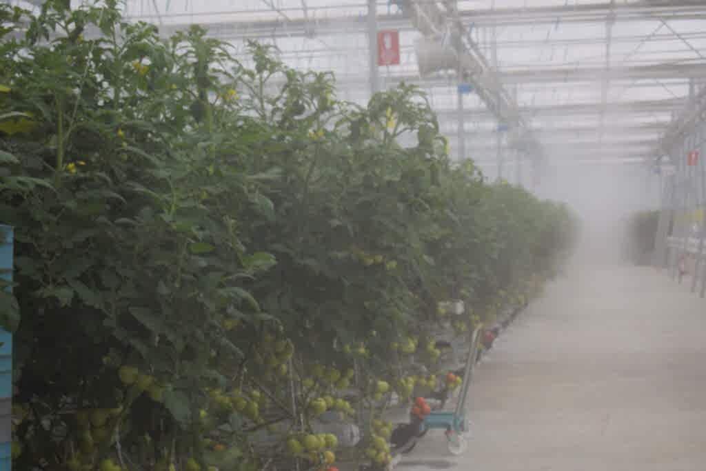 Yüksek Basınç Sisleme-Nemlendirme Sistemi